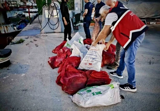 Kastamonu’da kaçak avlanan 142 kalkan balığına el konuldu
