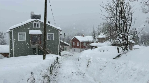 Kastamonu&rsquo;da kar 167 k&ouml;y yolunu ulaşıma kapattı
