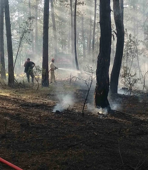 Kastamonu’da ormanlık alanda çıkan yangın büyümeden söndürüldü
