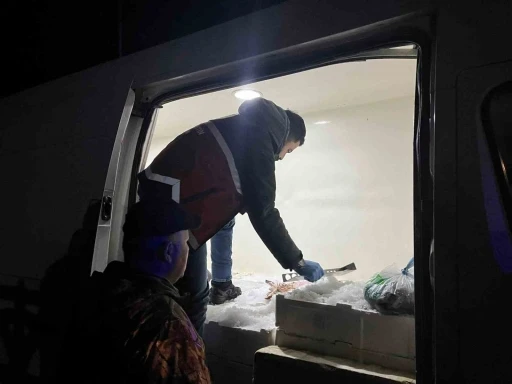 Kastamonu&rsquo;da usuls&uuml;z avlanan 1 ton 335 kilogram balığa el konuldu
