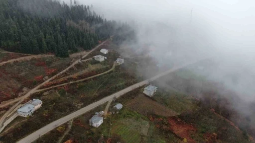 Kastamonu’da Yaralıgöz geçidinde sis nedeniyle görüş mesafesi düştü
