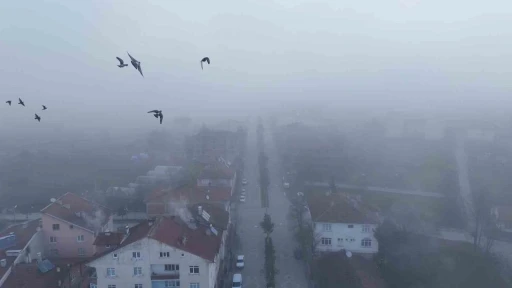 Kastamonu&rsquo;da yoğun sis

