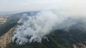 Kastamonu’daki orman yangını sürüyor: Havadan görüntülendi
