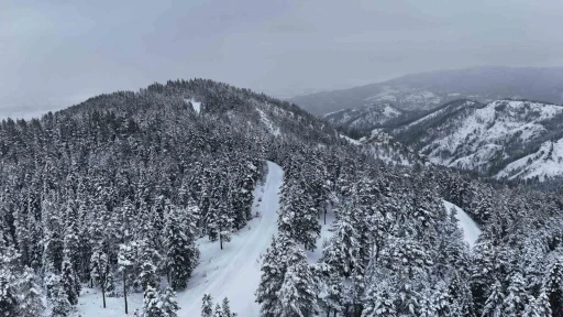 Kastamonu ormanlarında kış g&uuml;zelliği

