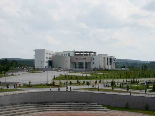Kastamonu Üniversitesi, Times Higher Education etki sıralamasında yer aldı
