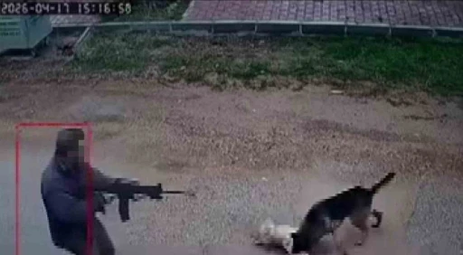 Kavga eden sokak k&ouml;peklerine t&uuml;fekle ateş edip bir k&ouml;peği &ouml;ld&uuml;rd&uuml;
