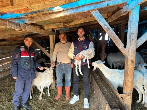 Kaybolan 50 k&uuml;&ccedil;&uuml;kbaş hayvan dron destekli aramayla bulundu
