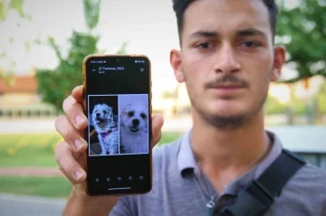 Kaybolan k&ouml;peğini bulmak i&ccedil;in sokak sokak geziyor
