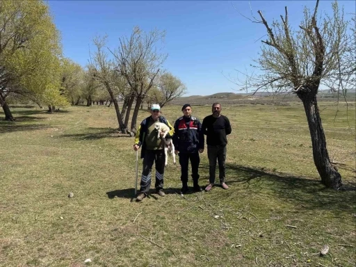 Kayıp küçükbaş hayvanı jandarma buldu
