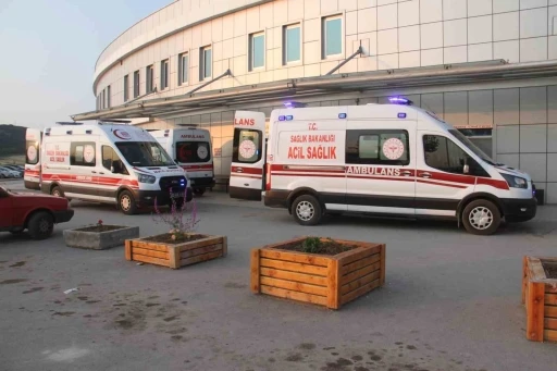Kayıp kurbanlığı ararken canından oldu
