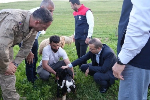 Kaymakam Baycar, g&ouml;&ccedil;er &uuml;reticilerin sorunlarını yerinde dinledi
