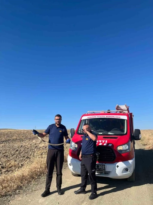 Kaymakamlık bah&ccedil;esinde bulunan yılan doğaya bırakıldı
