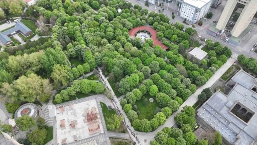 Kayseri&rsquo;de 300 bin k&ouml;k organik domates fidesine yoğun ilgi
