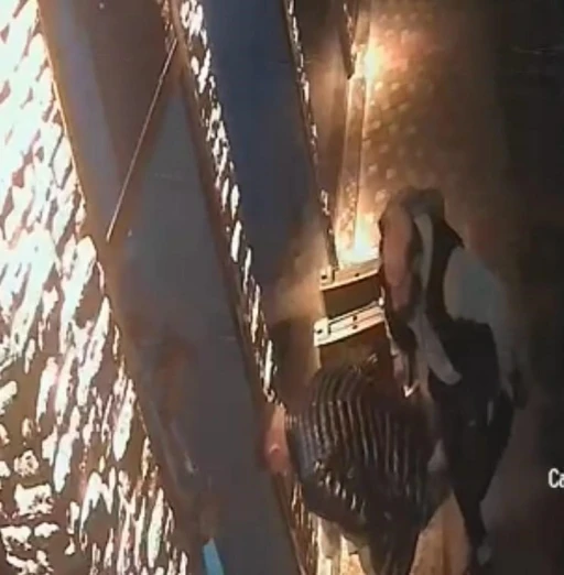 Kayseri&rsquo;de esnaf boğazına şeker ka&ccedil;an &ccedil;ocuğu heimlich manevrasıyla kurtardı... O anlar kamerada
