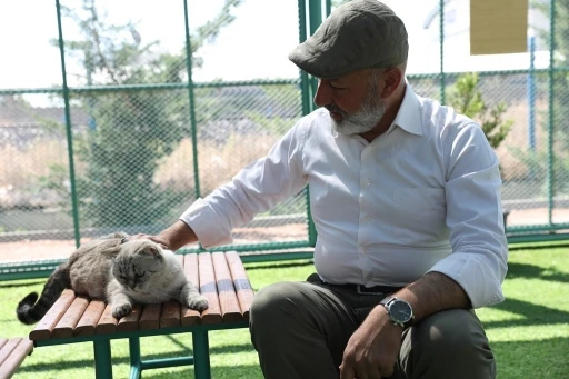 Kayseri&rsquo;de ilk ve tek k&uuml;&ccedil;&uuml;k dostları Kedi Kasabası, ziyaret&ccedil;i rekoru kırıyor
