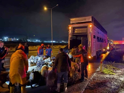 Kayseri&rsquo;de taşkın riski: 200 hayvan tahliye edildi
