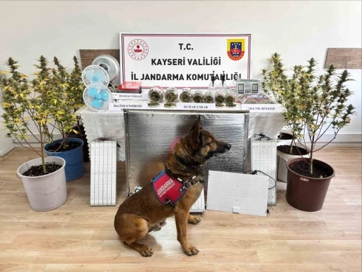 Kayseri&rsquo;de uyuşturucu operasyonu
