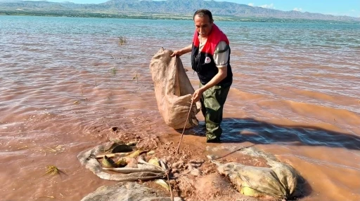 Keban baraj g&ouml;l&uuml;&rsquo;nde 700 kilogram canlı sazan kurtarıldı
