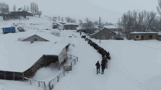 Ke&ccedil;i s&uuml;r&uuml;s&uuml; 4 saatlik zorlu yolculukla k&ouml;ye ulaştırıldı
