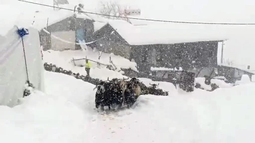 Ke&ccedil;ilerin inadı yarım metreyi bulan kara yenilmedi
