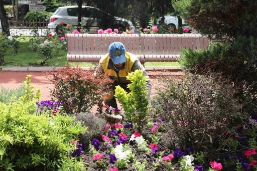 Ke&ccedil;i&ouml;ren&rsquo;de seradan parklara uzanan yeşil yolculuk
