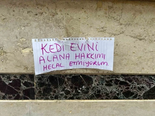 Kedi evini çalanlara hakkını helal etmedi
