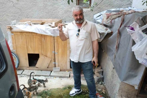 Kedi maması &ccedil;alan hırsız vatandaşı canından bezdirdi
