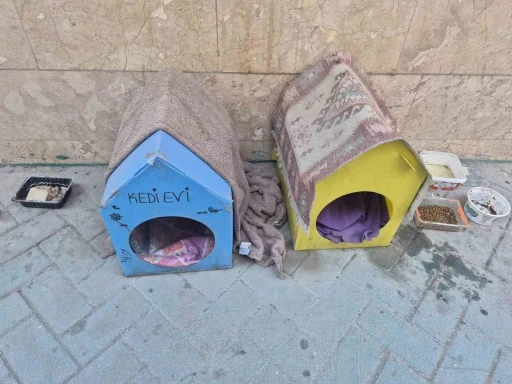 Kediler i&ccedil;in yaptığı evler i&ccedil;in vicdanlara seslendi, "L&uuml;tfen dokunmayalım"
