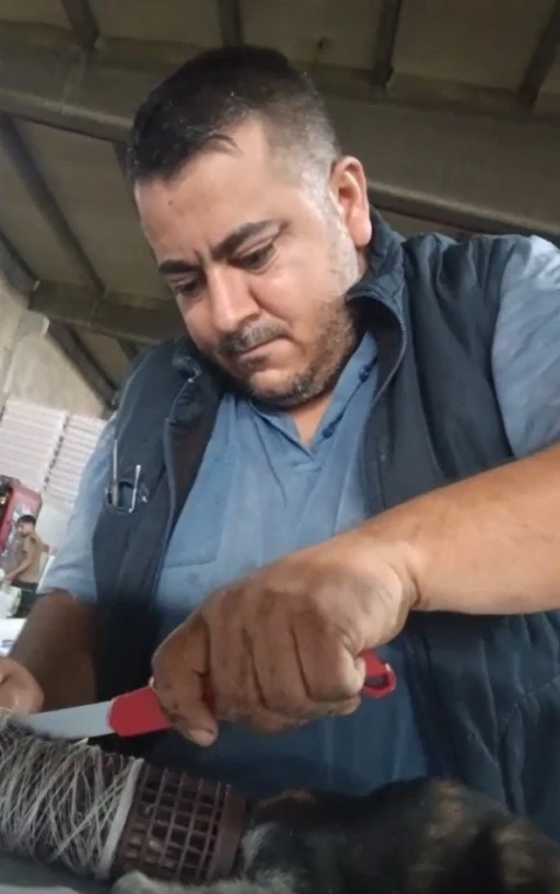 Kedinin imdat çığlığına şef yetişti
