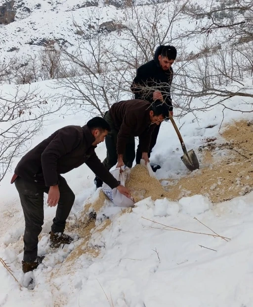 Kemah&rsquo;ta yaban hayatı unutulmadı
