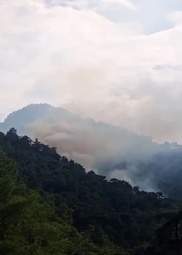 Kemer’de orman yangını
