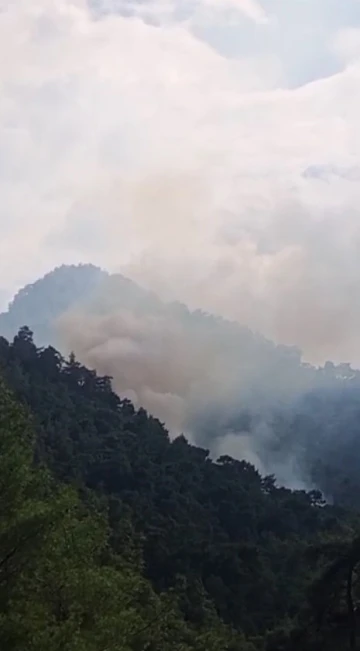 Kemer’deki orman yangını kontrol altına alındı

