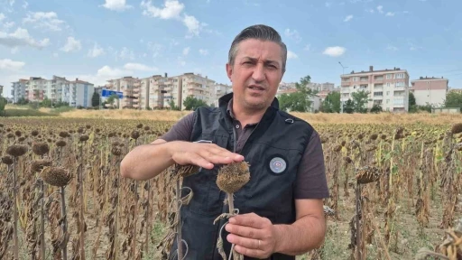 Kendilerine kepçeyle, çiftçiye çay kaşığıyla: Trakya Birlik’e tepki büyüyor

