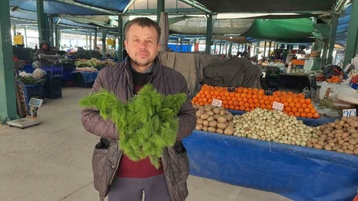 Kendiliğinden yetişen çaşır otu yok satıyor

