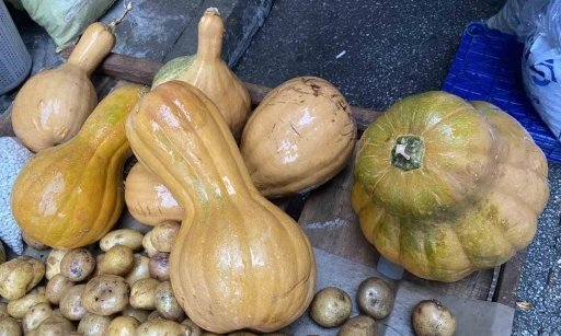 Kendisi ayrı, &ccedil;ekirdeği ayrı şifa kaynağı
