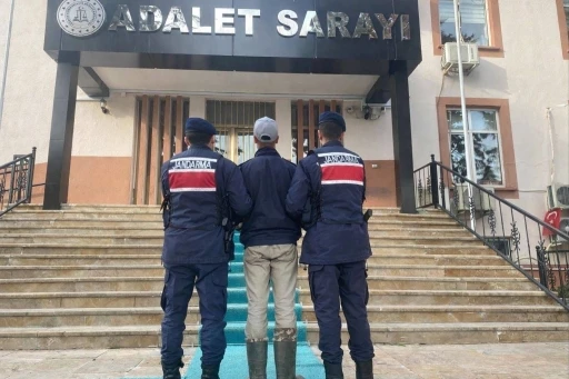 Kendisine saldıran k&ouml;peklerin sahibini vuran 17 yaşındaki ş&uuml;pheli tutuklandı

