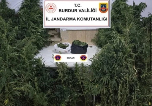 Kenevirleri sularken su&ccedil;&uuml;st&uuml; yakalandı
