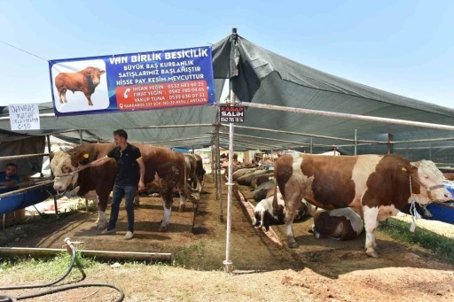 Kepez’de 9 noktada kurban kesim alanı

