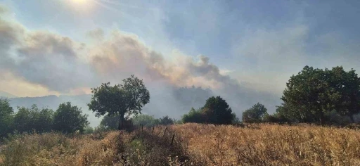 Kepsut’taki orman yangını köyü tehdit ediyor
