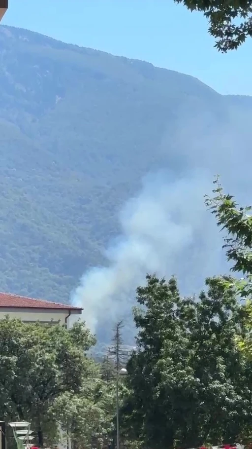 Kestel&rsquo;de orman yangını

