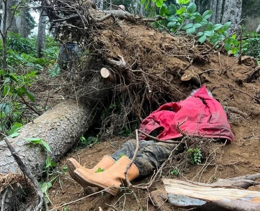 Kestiği ağacın altında kalan bir kişi hayatını kaybetti
