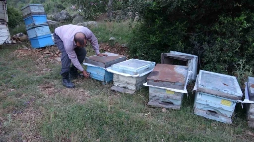 Keven ve kekik balı i&ccedil;in yayla yolculuğu başladı

