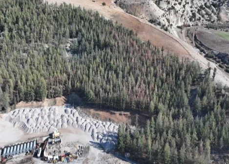 Kilis&rsquo;te Akdeniz &ccedil;am kabuk b&ouml;ceğine karşı biyoteknik m&uuml;cadele
