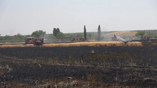 Kilis’te buğday tarlasında yangın
