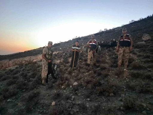 Kilis’te kaybolan 26 küçükbaş hayvan bulundu
