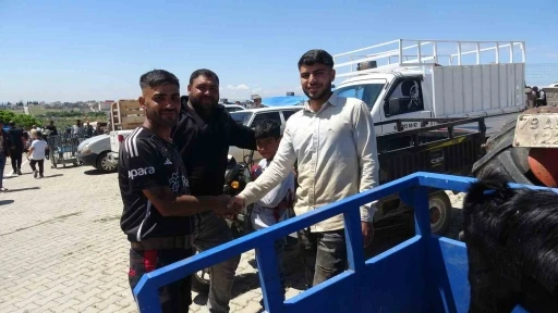 Kilis&rsquo;te kurbanlık pazarında hareketlilik arttı
