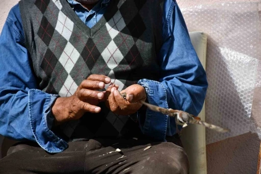 Kırdığı &ccedil;ekirdeklerle kuşlara sofra kuruyor
