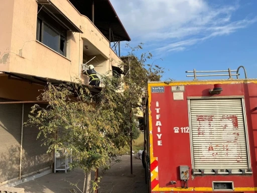 Kırıkhan’da çatıda mahsur kalan kediyi itfaiye kurtardı
