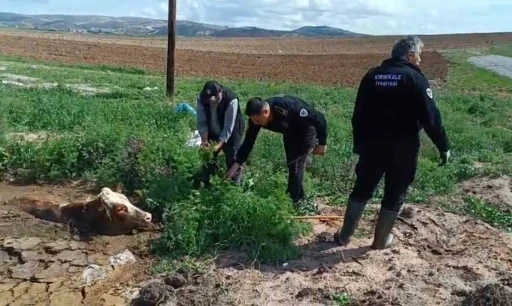 Kırıkkale’de bataklığa saplanan ineği itfaiye kurtardı
