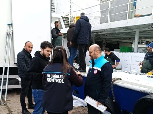 Kırklareli&rsquo;de hamsi sevkiyatlarına denetim
